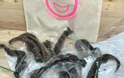 Taglio Sansone: tagliare i capelli per fare del bene